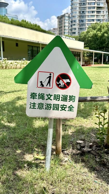 施行一周上海升级版游园带来哪些“乐与痛”?pg电子中国网站事关搭帐篷、带宠物……新规(图7) 施行一周上海升级版游园带来哪些“乐与痛”?pg电子中国网站事关搭帐篷、带宠物……新规(图7)