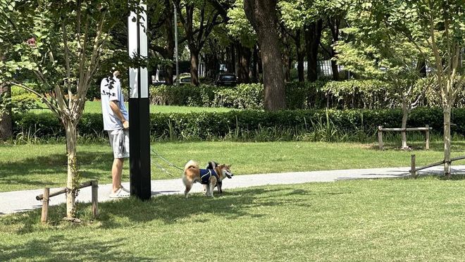 施行一周上海升级版游园带来哪些“乐与痛”?pg电子中国网站事关搭帐篷、带宠物……新规(图9) 施行一周上海升级版游园带来哪些“乐与痛”?pg电子中国网站事关搭帐篷、带宠物……新规(图9)