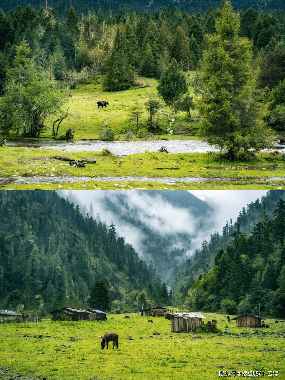 少钱？十佳推荐与前十名对比pg电子入口西藏报团旅游多
